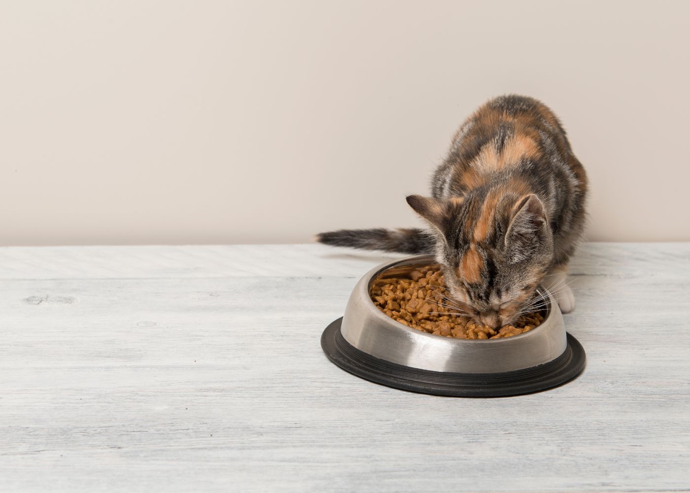 Croquettes Premium Chat : La meilleure alimentation pour votre chat